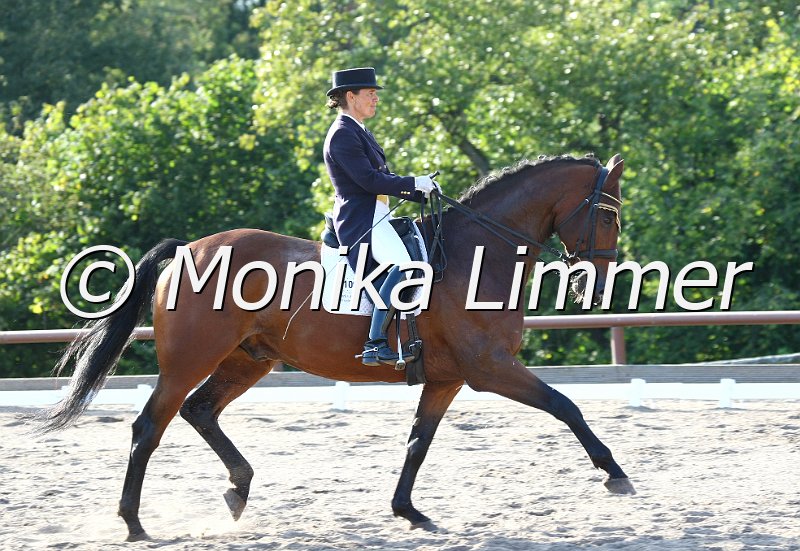 098L1941_Andrea Dlugos.jpg - Andrea Dlugos mit Lorenzo zur S Dressur Prix St. GeorgesFoto Monika Limmer